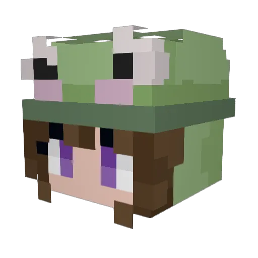 Citty123 Minecraft avatar head, 3D render