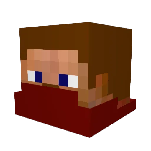 CityOfHearts Minecraft avatar head, 3D render