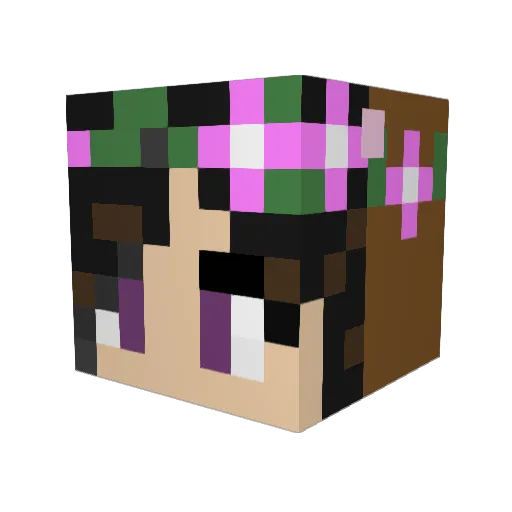 CitywideKoala41 Minecraft avatar head, 3D render