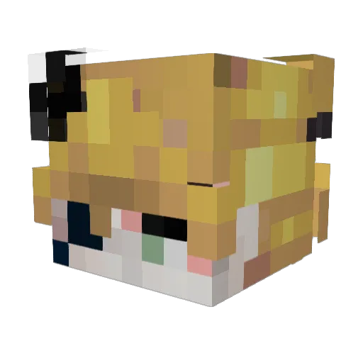 Ciumpalin Minecraft avatar head, 3D render