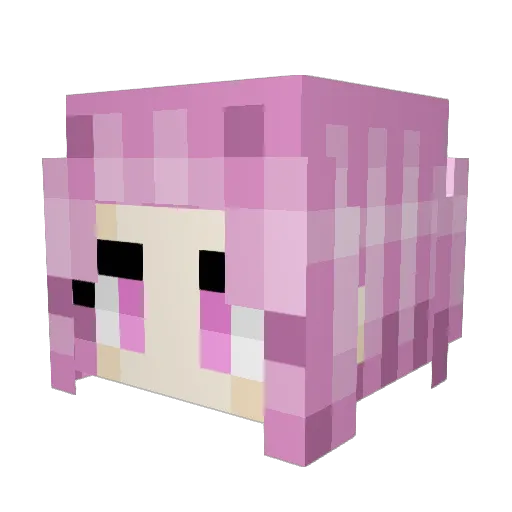 CivicLover69420 Minecraft avatar head, 3D render