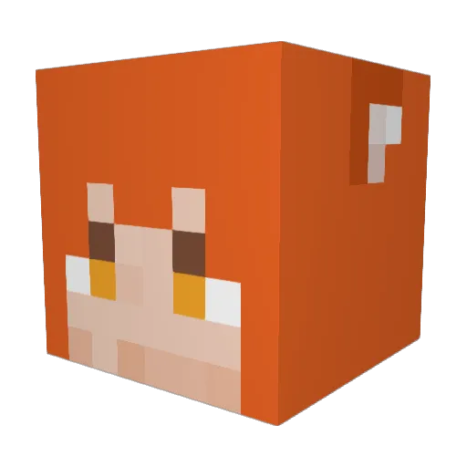 Cizokat Minecraft avatar head, 3D render