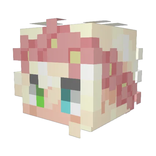 CjOficjal Minecraft avatar head, 3D render