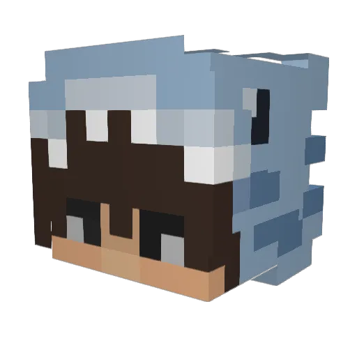 Cjordancl_ Minecraft avatar head, 3D render