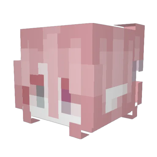 Cjqp Minecraft avatar head, 3D render