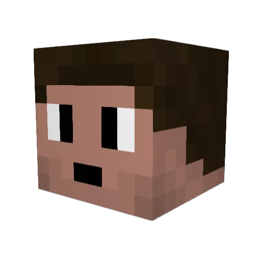 Cjr941 Minecraft avatar head, 3D render