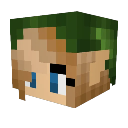 Cjreef Minecraft avatar head, 3D render