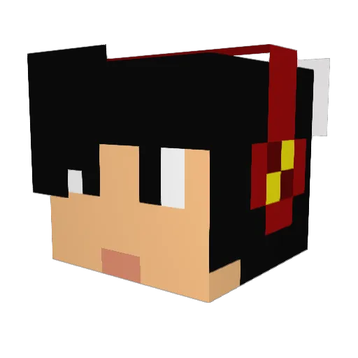 CjsBrownSok Minecraft avatar head, 3D render