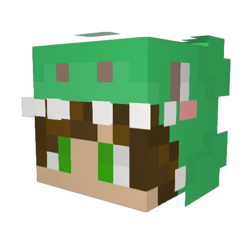 Ck56 Minecraft avatar head, 3D render