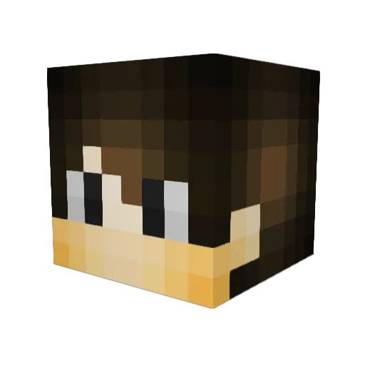 Ckatar Minecraft avatar head, 3D render