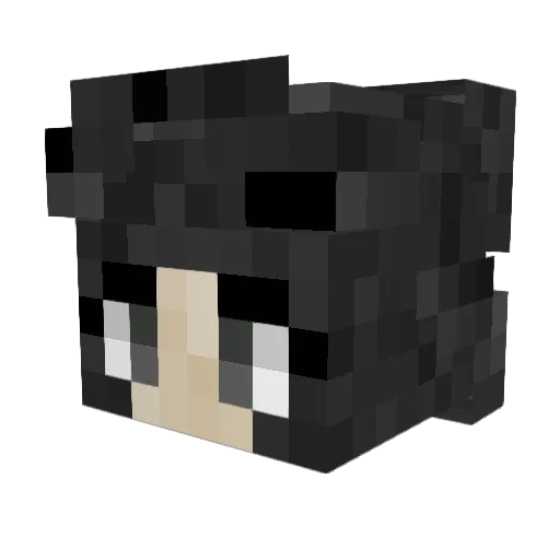 Ckrong0 Minecraft avatar head, 3D render