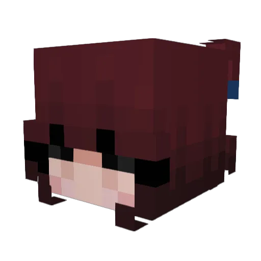 Cl3verF0x Minecraft avatar head, 3D render