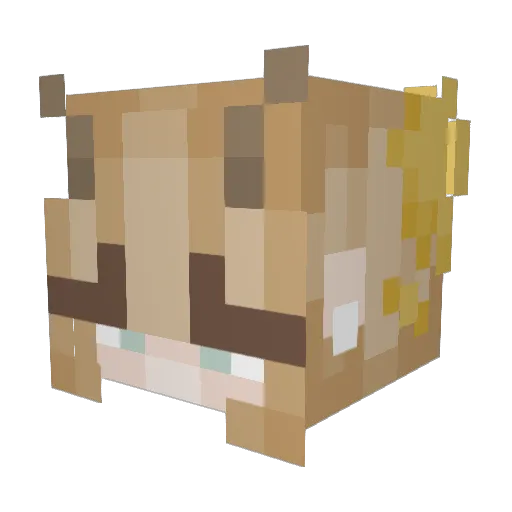 ClIpHNME Minecraft avatar head, 3D render