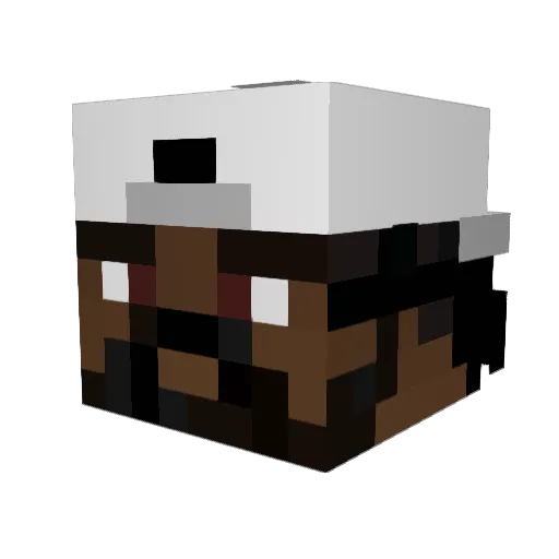 ClNCO Minecraft avatar head, 3D render