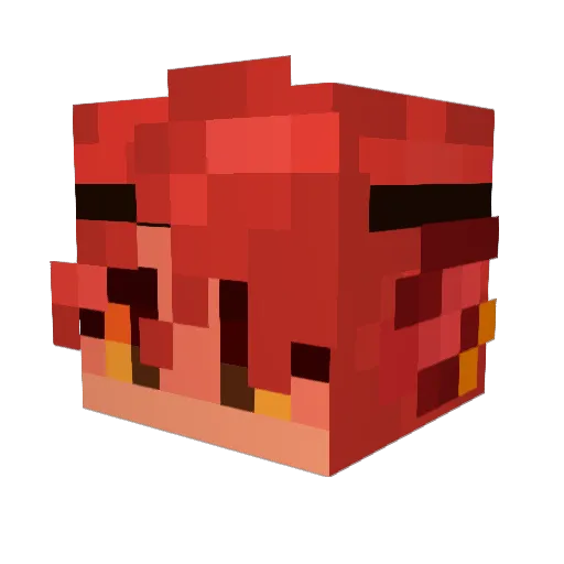 ClairMagicOwl Minecraft avatar head, 3D render