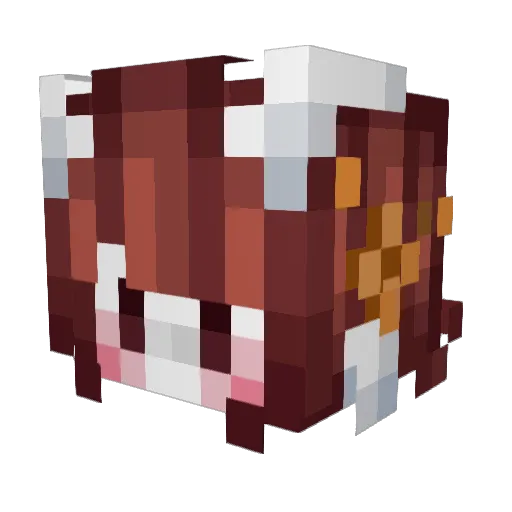 ClaireBearsies Minecraft avatar head, 3D render