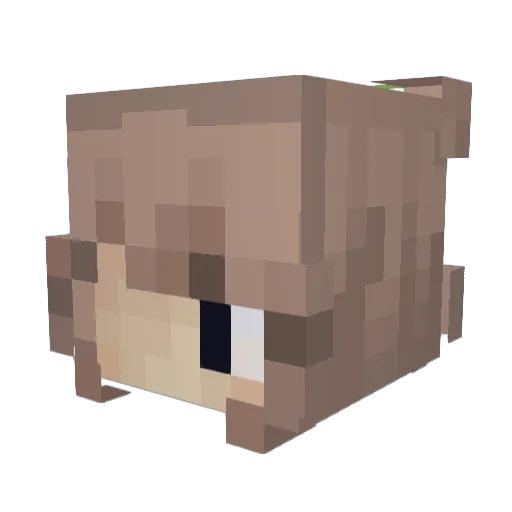 ClaireTheAngel Minecraft avatar head, 3D render
