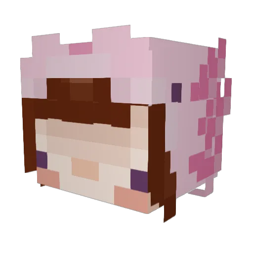 Clam437 Minecraft avatar head, 3D render