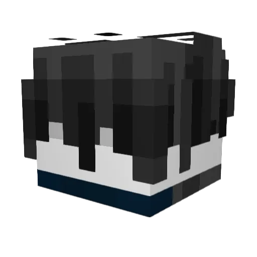 ClamY11 Minecraft avatar head, 3D render