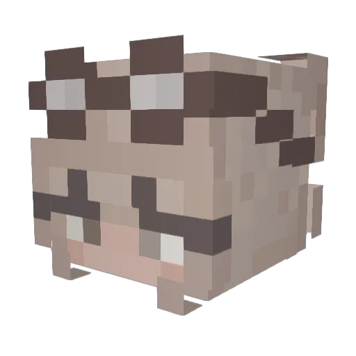 Clank1031 Minecraft avatar head, 3D render