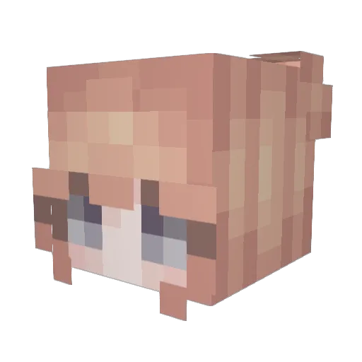 ClapppyChan Minecraft avatar head, 3D render