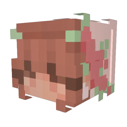 ClaraChar Minecraft avatar head, 3D render
