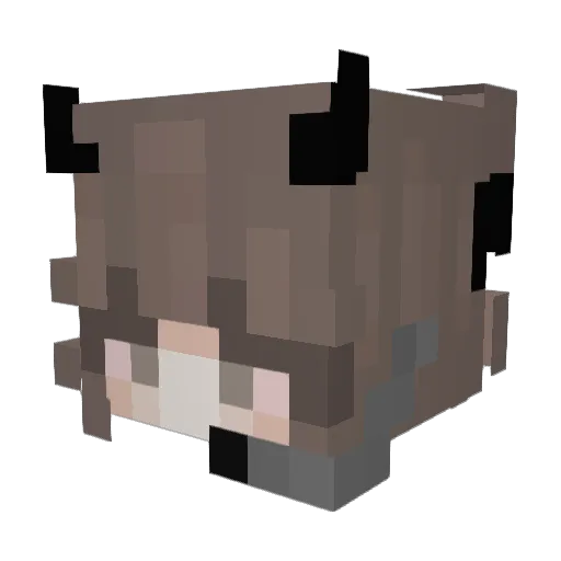 Claragoogle151 Minecraft avatar head, 3D render