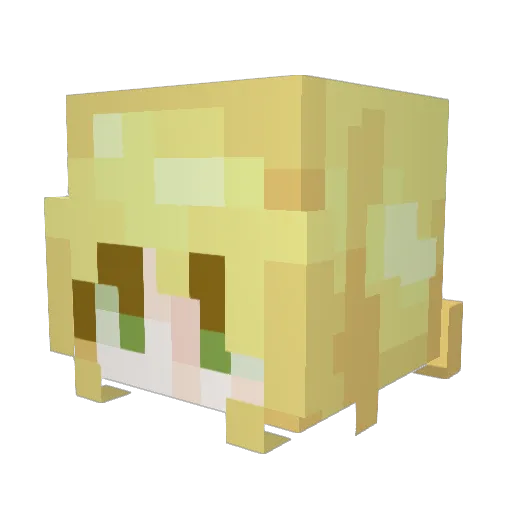 Clararing Minecraft avatar head, 3D render
