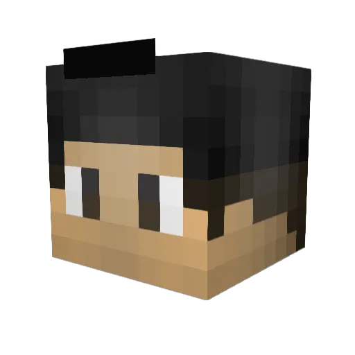 Clarifications Minecraft avatar head, 3D render