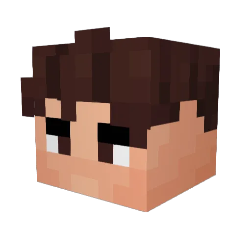 Clarinha120 Minecraft avatar head, 3D render