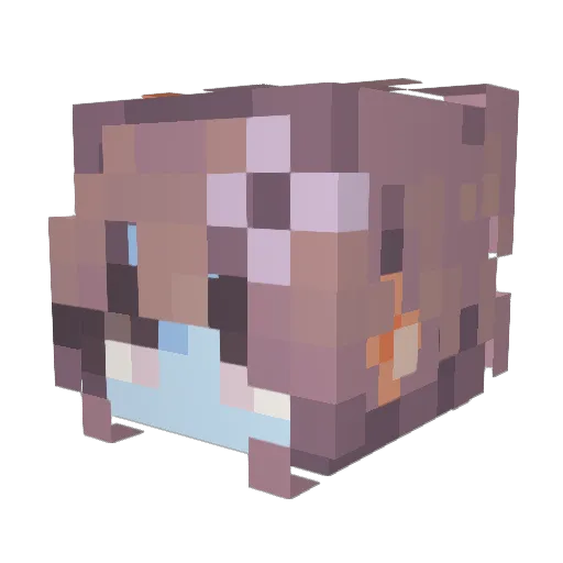 ClarkClient Minecraft avatar head, 3D render