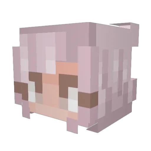 ClarkM97 Minecraft avatar head, 3D render