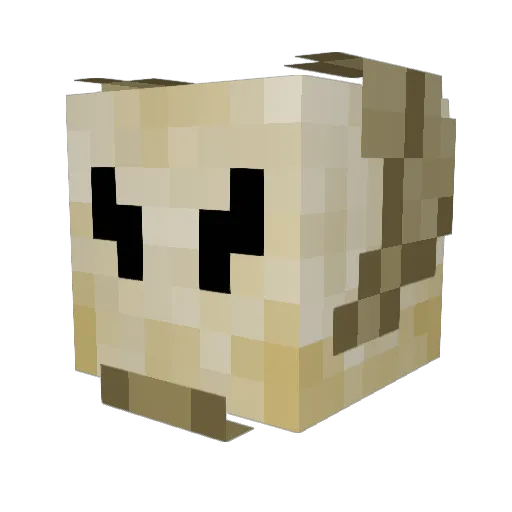 ClarkVader Minecraft avatar head, 3D render