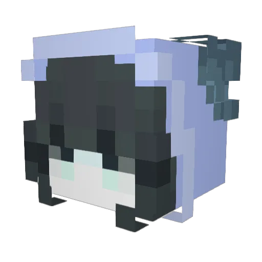 Clarocaro35 Minecraft avatar head, 3D render