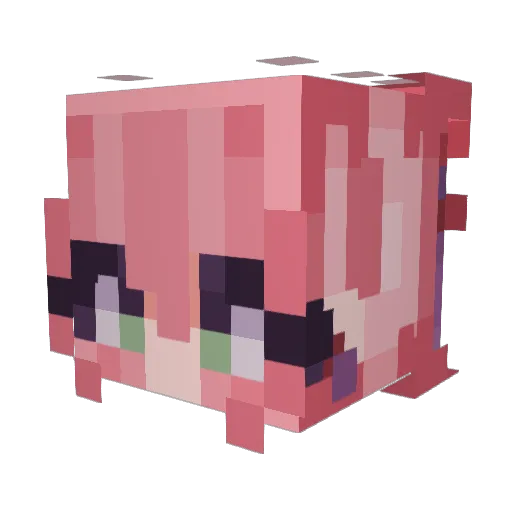 ClasherLord Minecraft avatar head, 3D render
