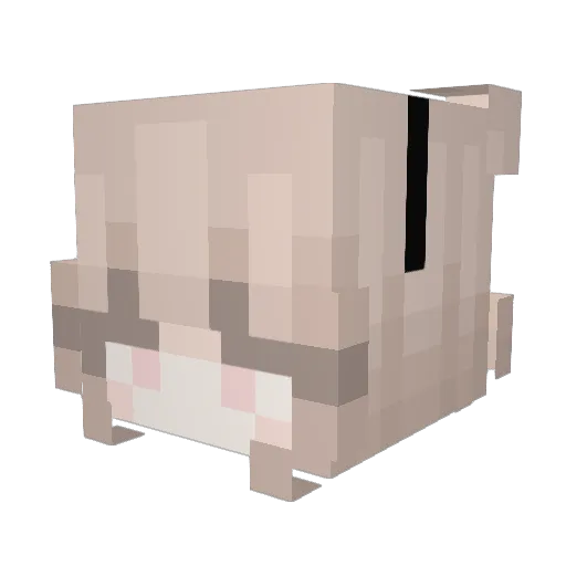 ClaspedBeret629 Minecraft avatar head, 3D render