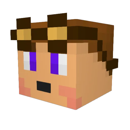 Class12345654321 Minecraft avatar head, 3D render