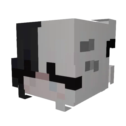 ClassicKiwiz Minecraft avatar head, 3D render