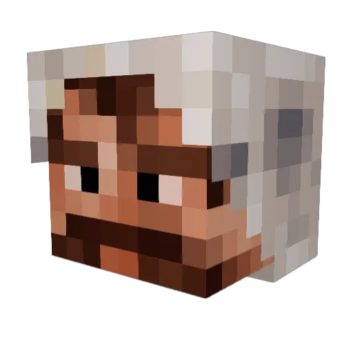 ClassicXrayer Minecraft avatar head, 3D render
