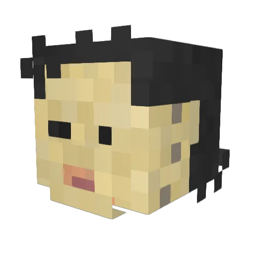 Classified300 Minecraft avatar head, 3D render