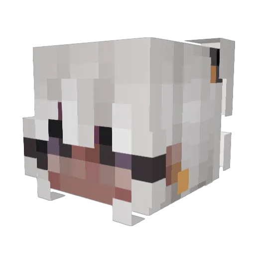 ClauAnDin Minecraft avatar head, 3D render
