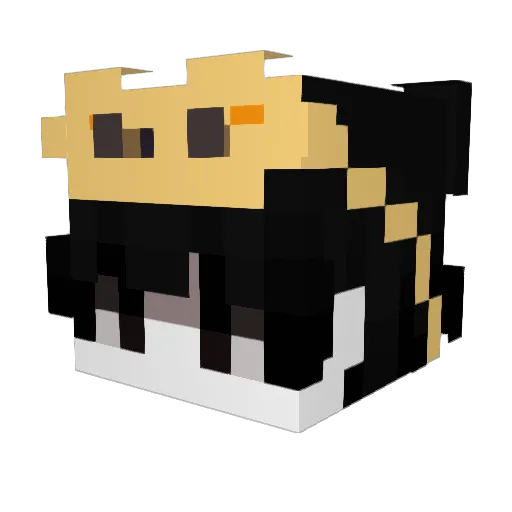 Claude_Eco Minecraft avatar head, 3D render
