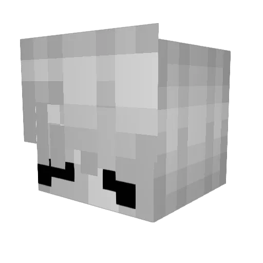 Claus77 Minecraft avatar head, 3D render