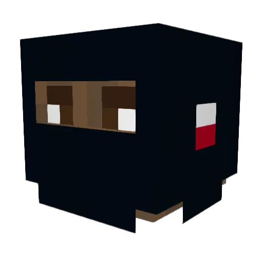 Claw_CyberGamer Minecraft avatar head, 3D render