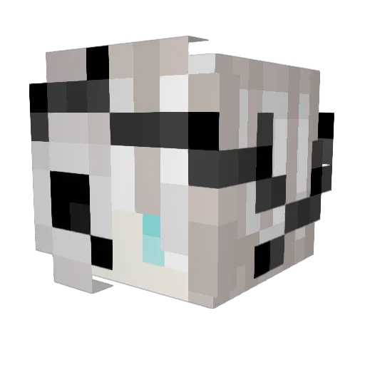 Clay_Heisner Minecraft avatar head, 3D render