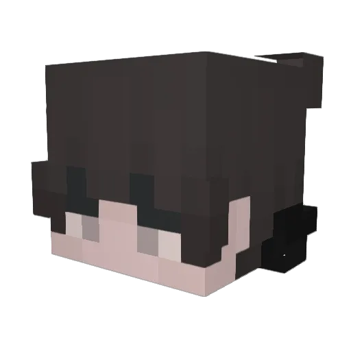 Clayson23 Minecraft avatar head, 3D render