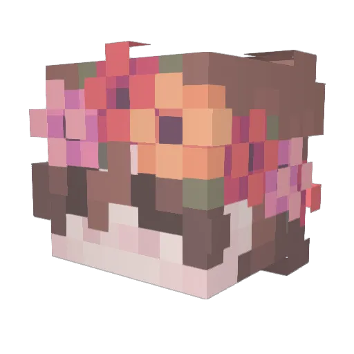 Cle2905w Minecraft avatar head, 3D render