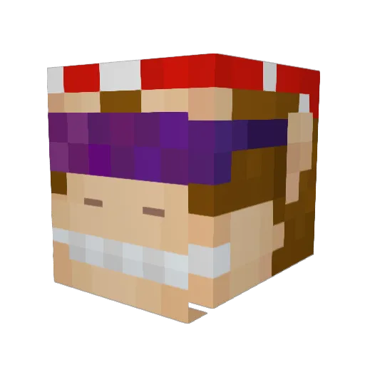 CleanupRaptor Minecraft avatar head, 3D render