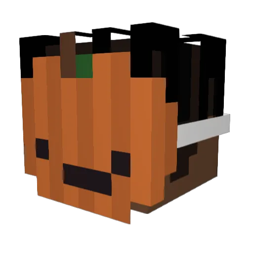 CleggTheReal Minecraft avatar head, 3D render
