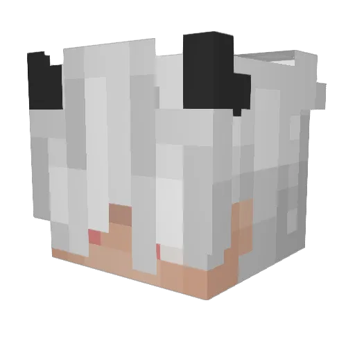 Clementinerose15 Minecraft avatar head, 3D render